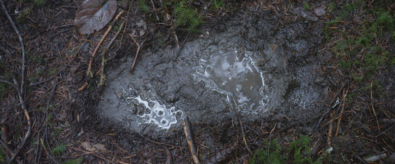 ����� ������ ��� "�������� �������"